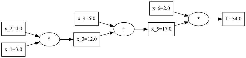 A visualization of the computational graph.